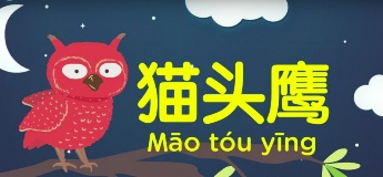 Weekly Learning Videos For Kids | English & Chinese Animal Song